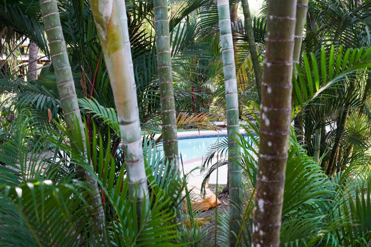 Hotel Luz de Luna Playa Santa Teresa  Exterior foto